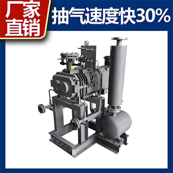 無(wú)油螺桿式真空泵
