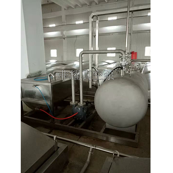 防爆水環(huán)真空泵